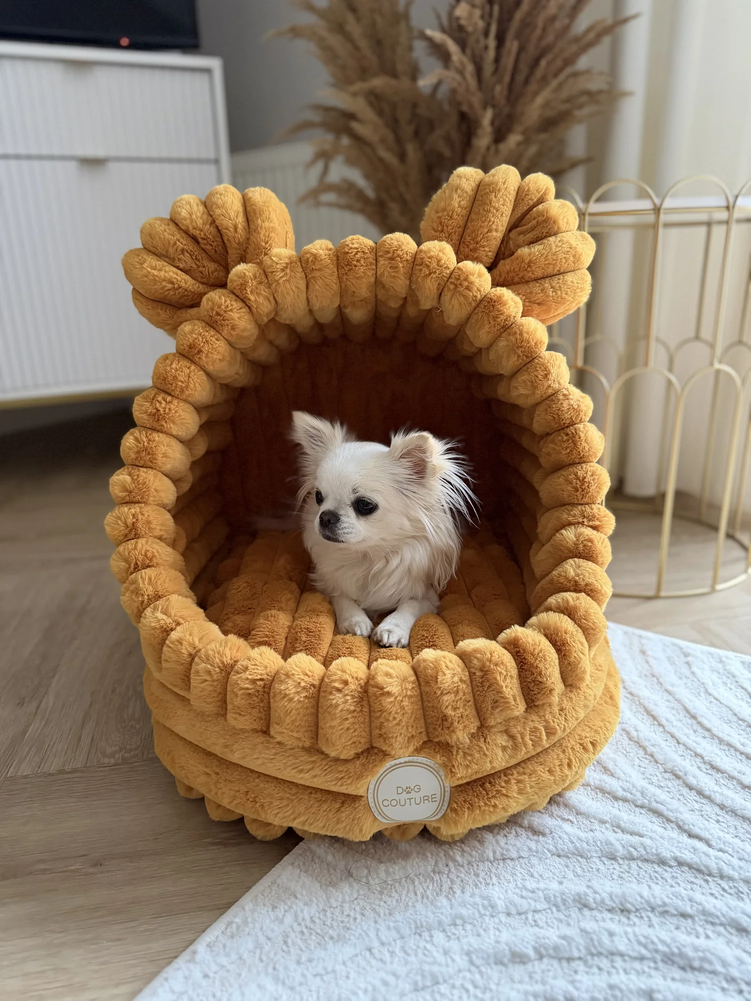 Budka Ribella