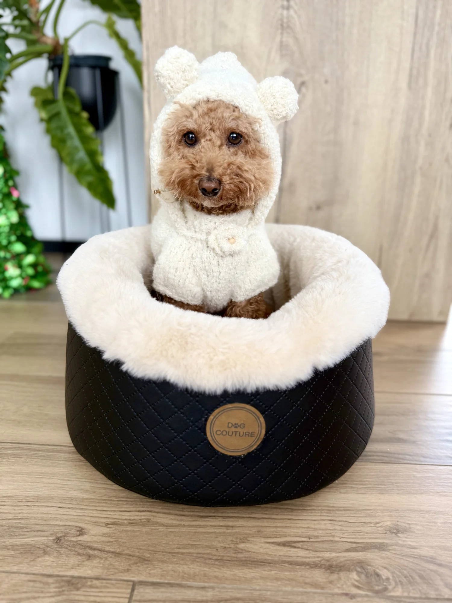 Fotelik samochodowy Cocoon