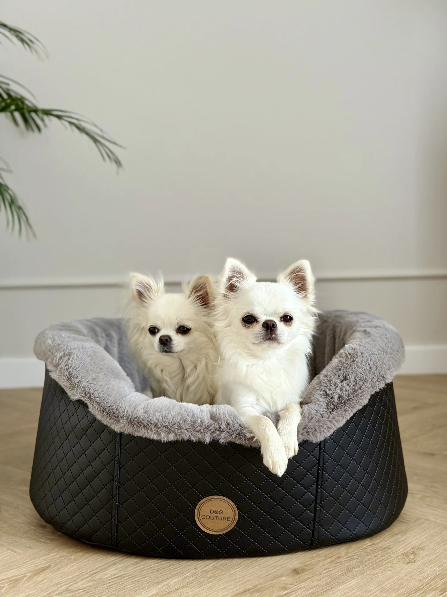 Fotelik samochodowy Cocoon