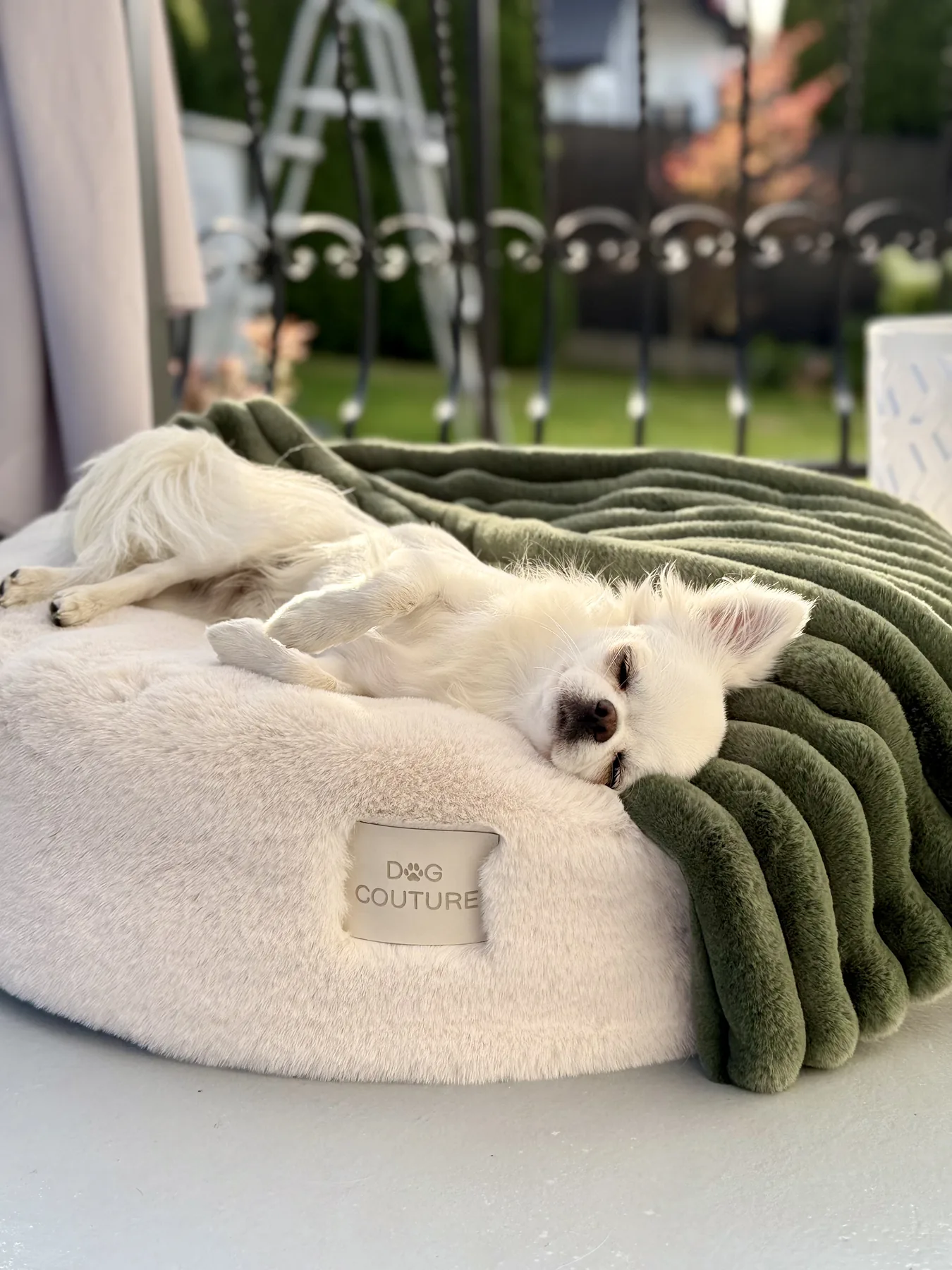 Produkt Dog Couture
