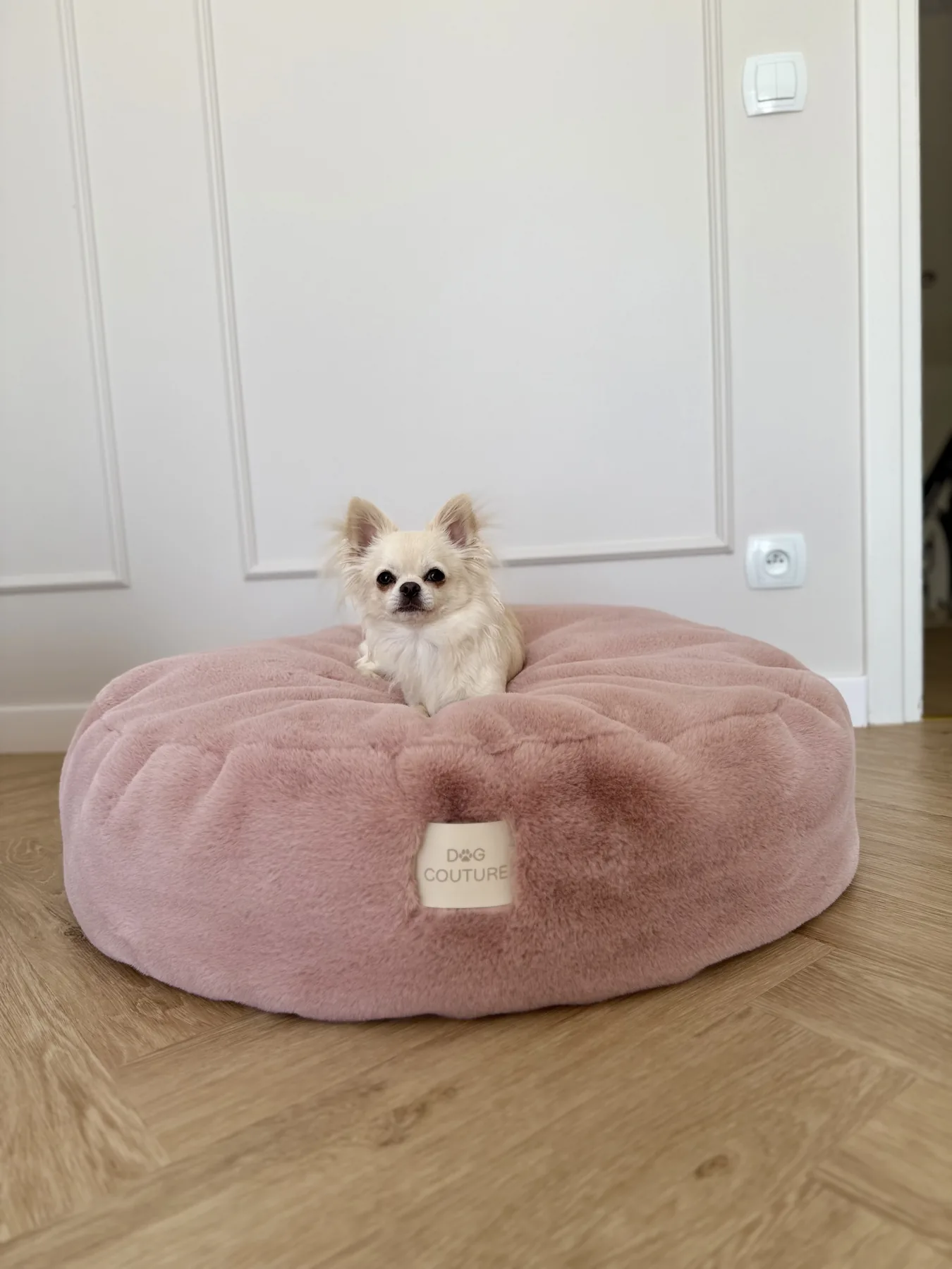 Produkt Dog Couture