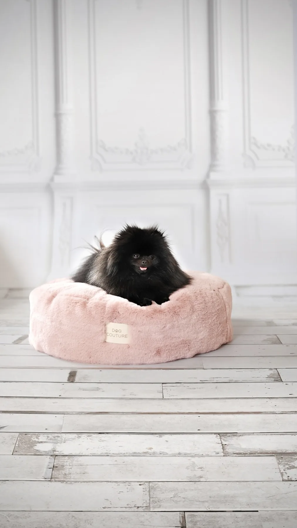 Produkt Dog Couture