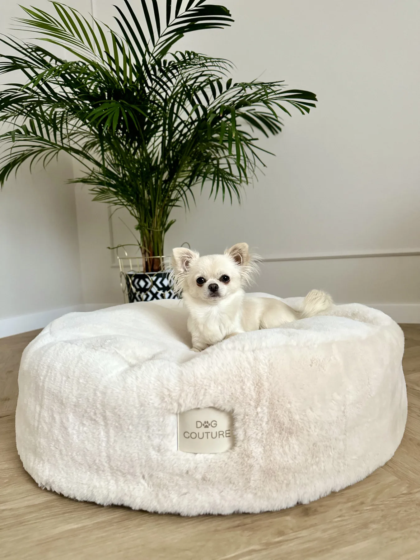 Produkt Dog Couture
