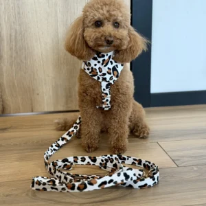 Produkt Dog Couture