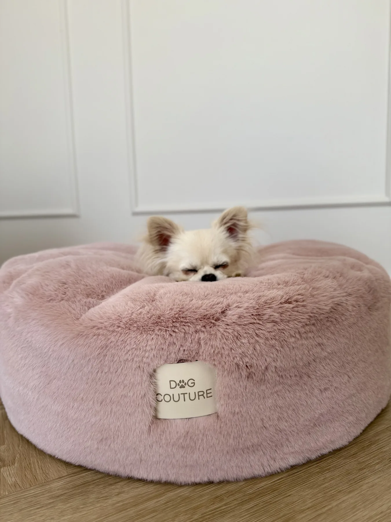 Produkt Dog Couture