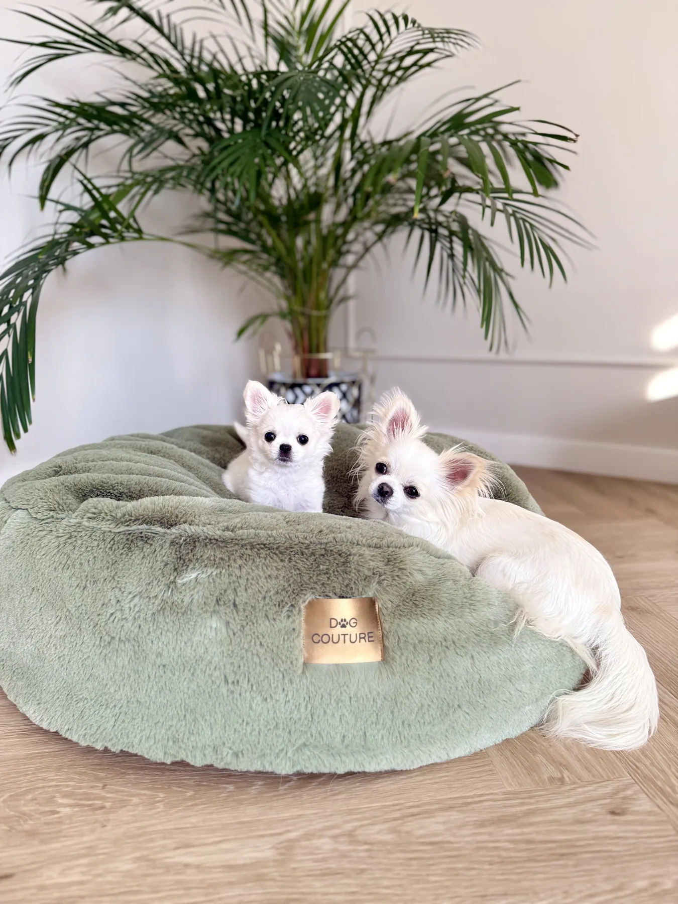 Produkt Dog Couture
