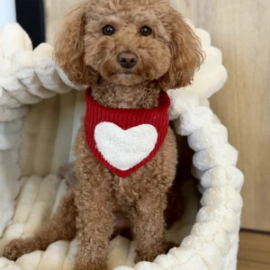 Bandama noel — Ruby Heart