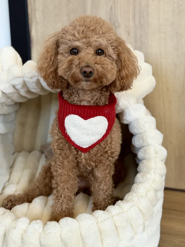 Bandama noel — Ruby Heart