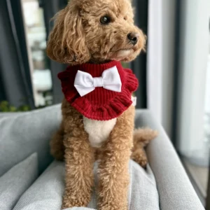 Bandama noel — Ruby Ruffle 1