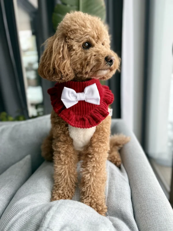 Bandama noel — Ruby Ruffle 1