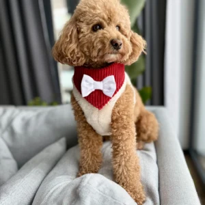 Bandama noel — Ruby Ruffle