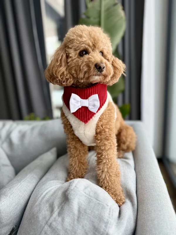 Bandama noel — Ruby Ruffle