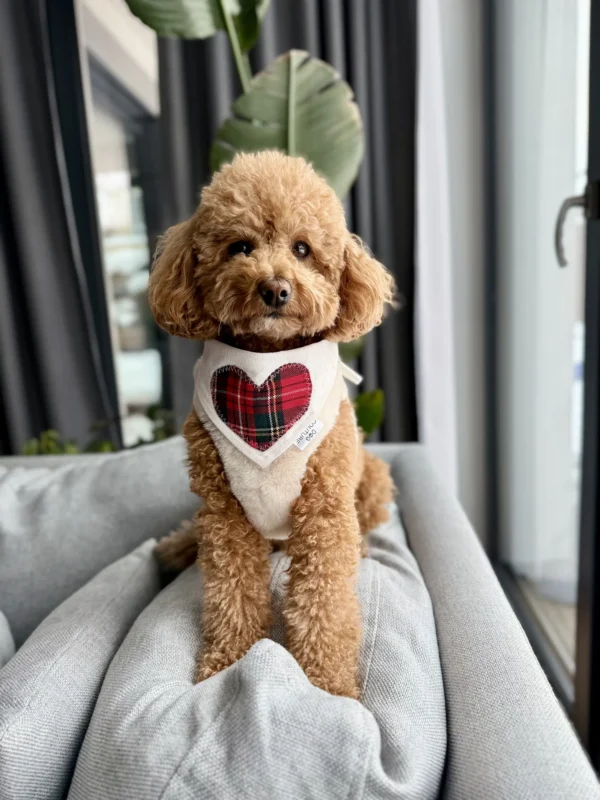 Bandama noel — Tartan Heart