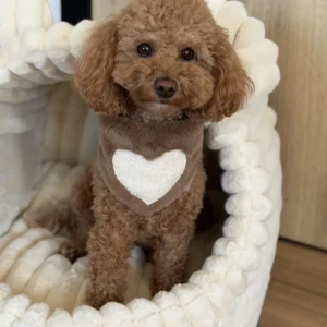 Bandama plush — Brown White