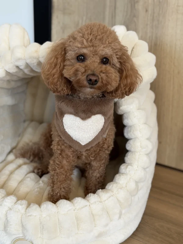 Bandama plush — Brown White