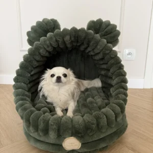 Budka ribella — Matcha