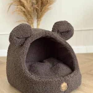 Budka teddy — Chocolate