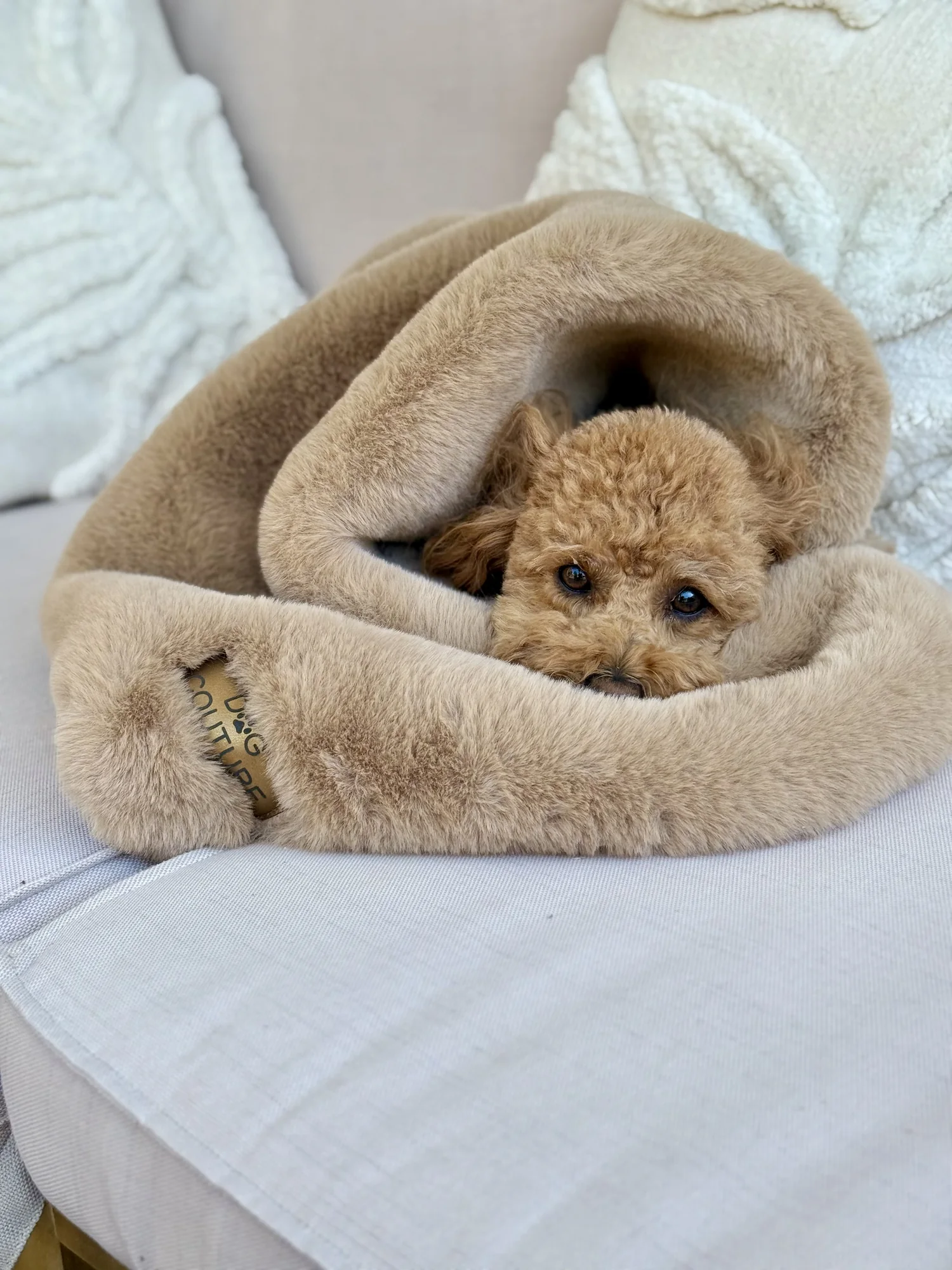 Koc snuggle bunny — Chocolate