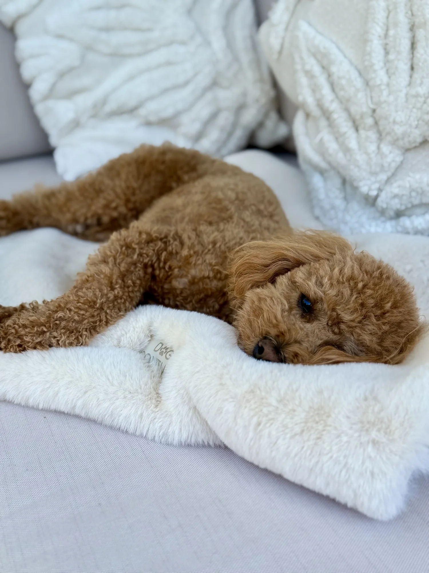 Koc snuggle bunny — Creme
