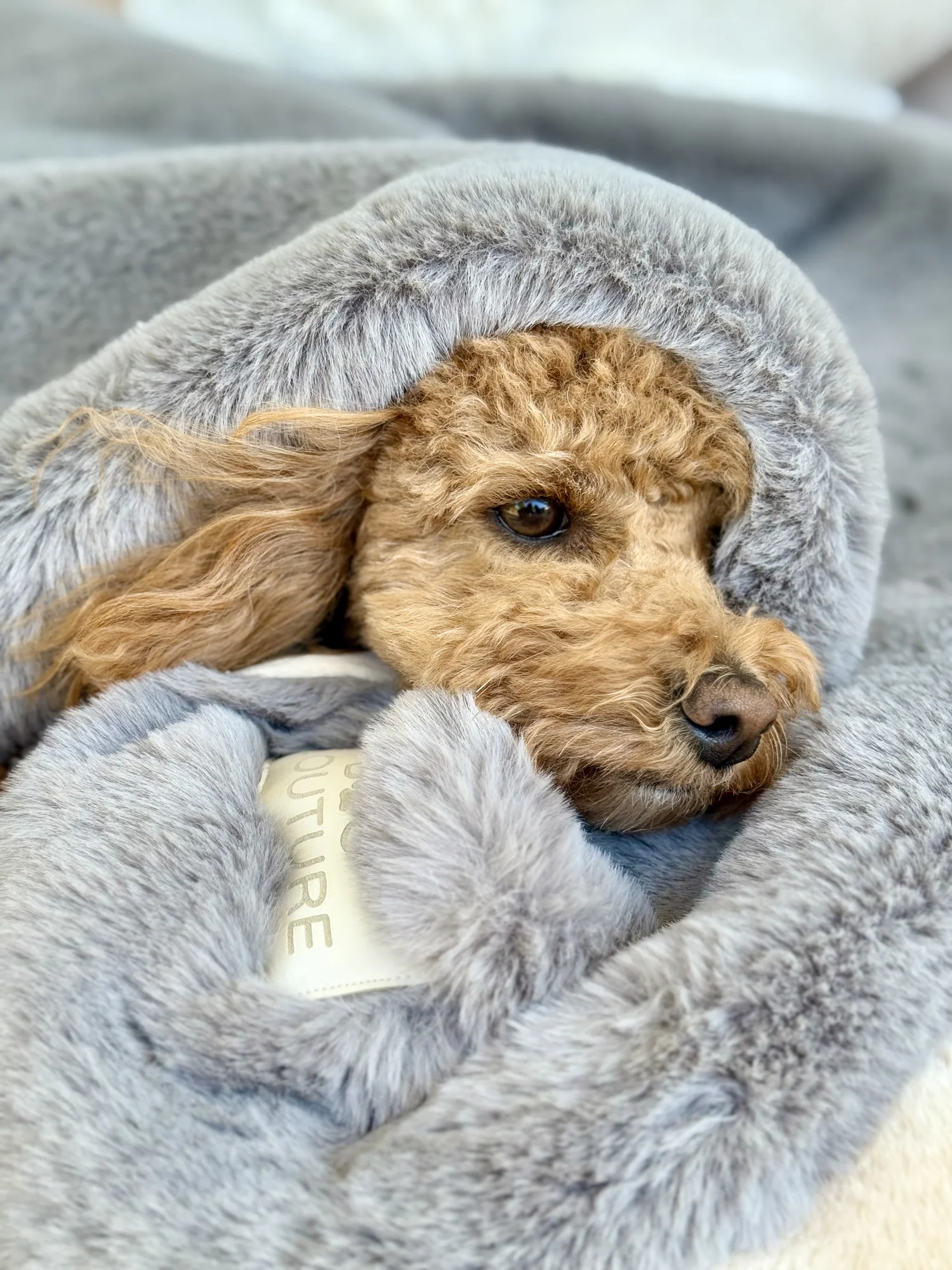 Koc snuggle bunny — Grey