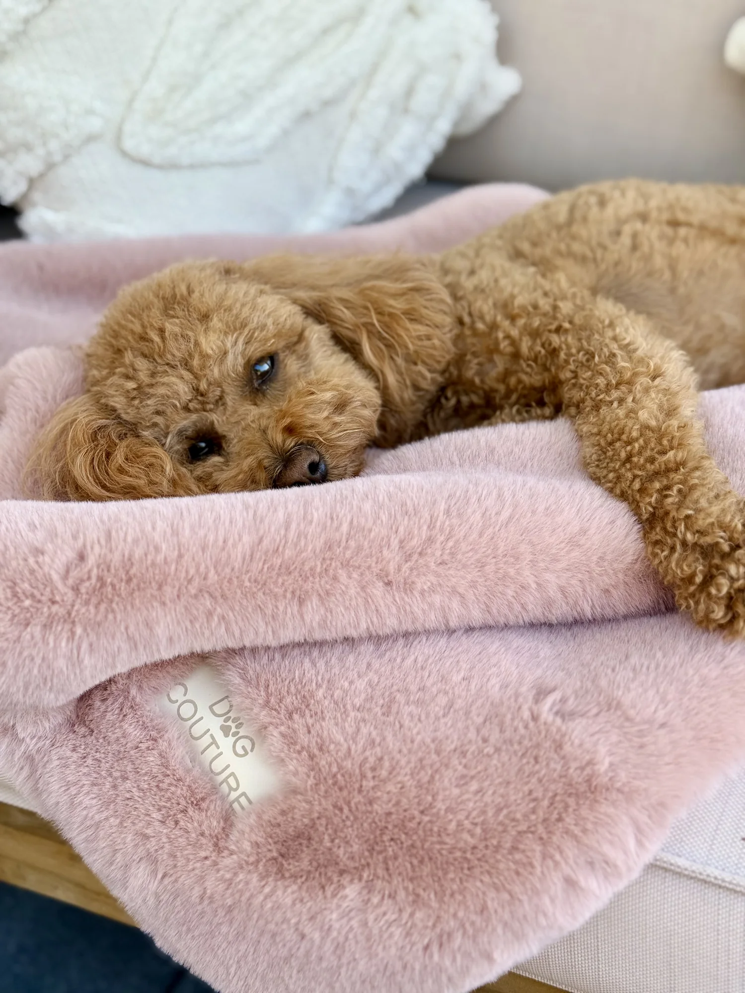 Koc snuggle bunny — Rose