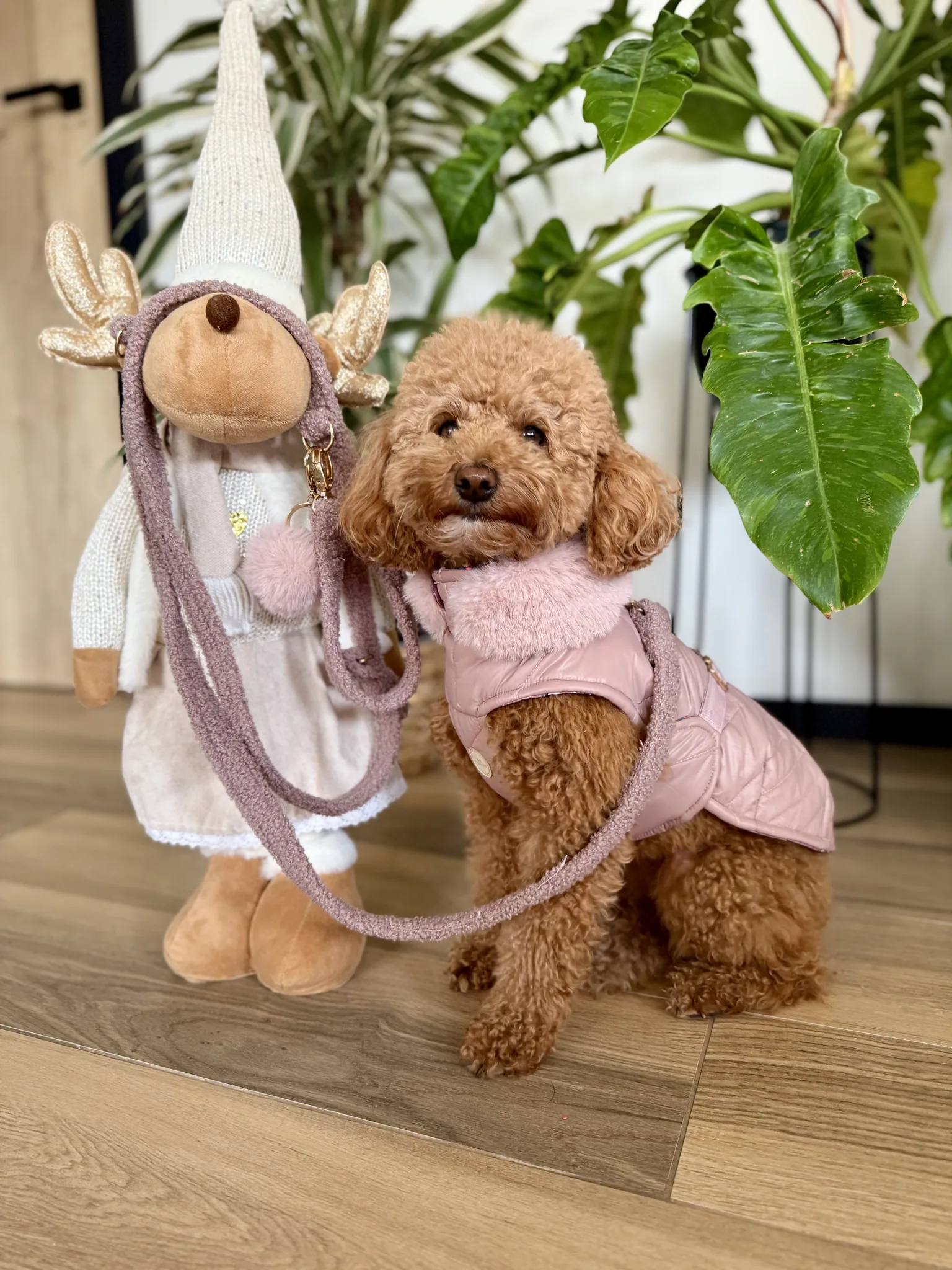 Smycz przepinana teddy — Rose