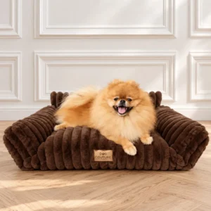 Sofa ribella — Chocolate