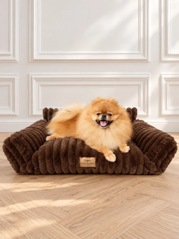Sofa ribella — Chocolate