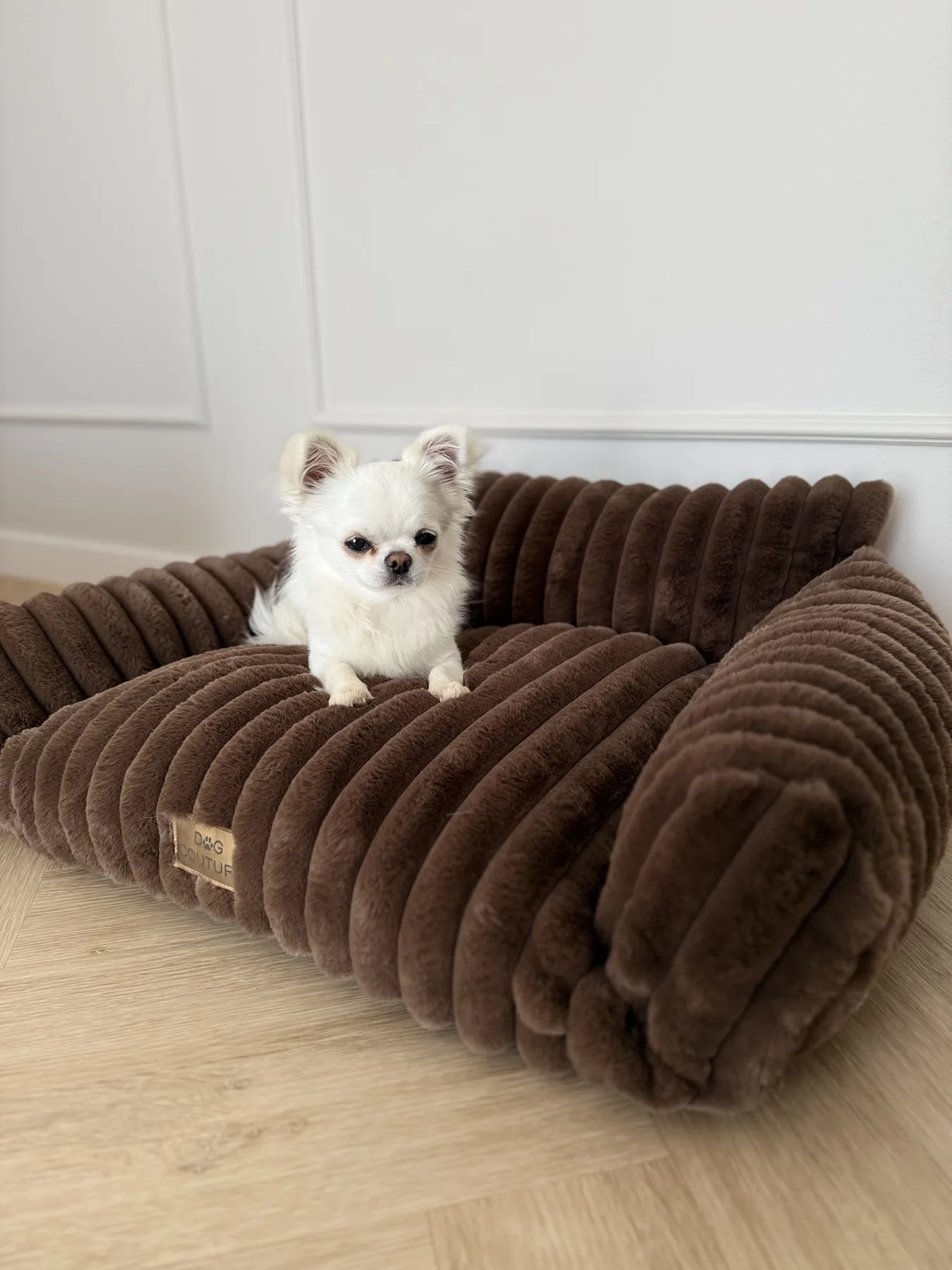 Sofa ribella — Chocolate