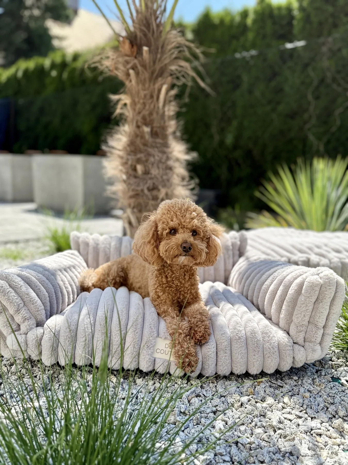 Sofa ribella — Silver