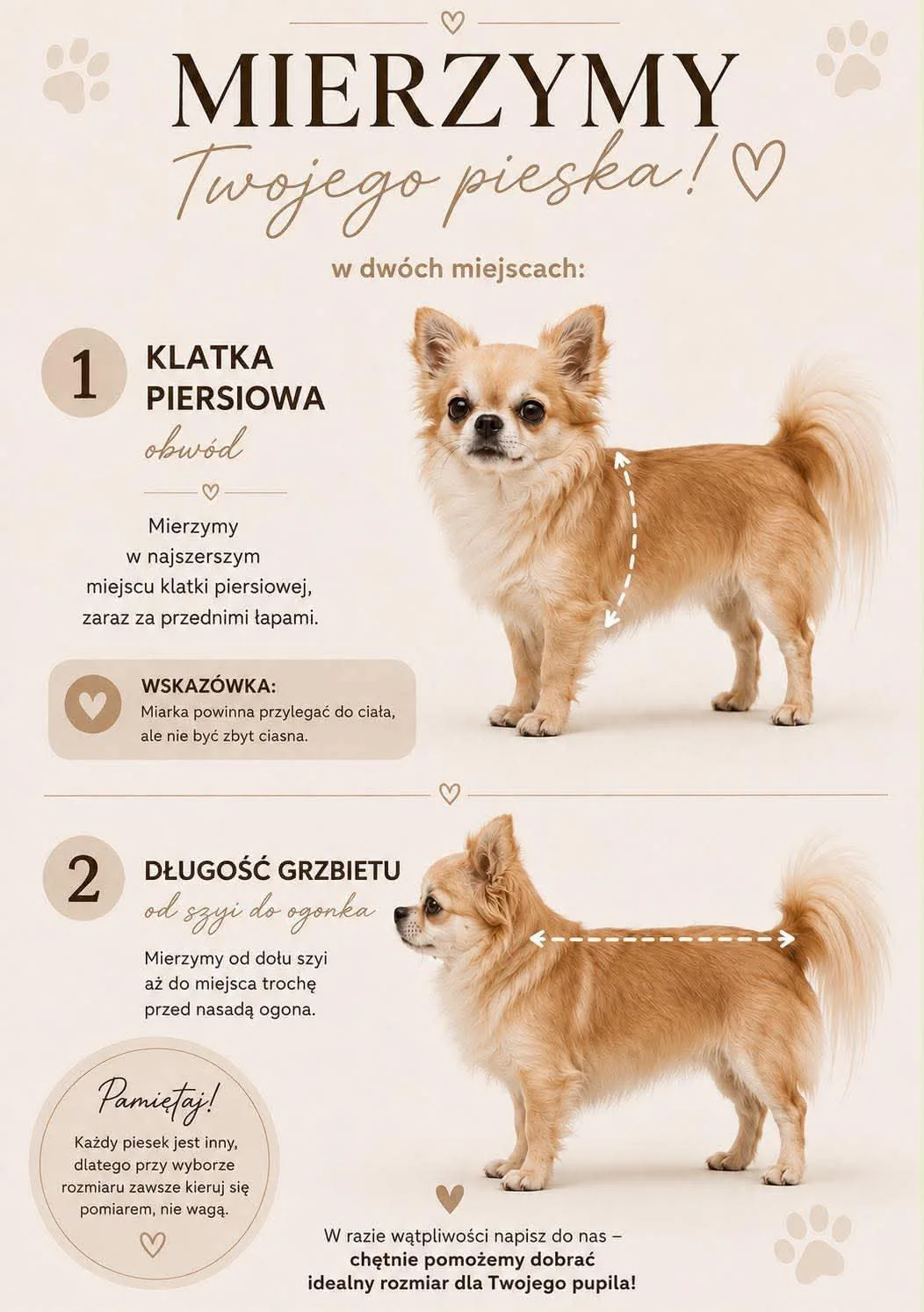 Jak zmierzyć psa: obwód klatki piersiowej w najszerszym miejscu za przednimi łapami oraz długość grzbietu od dołu szyi do miejsca przed nasadą ogona.