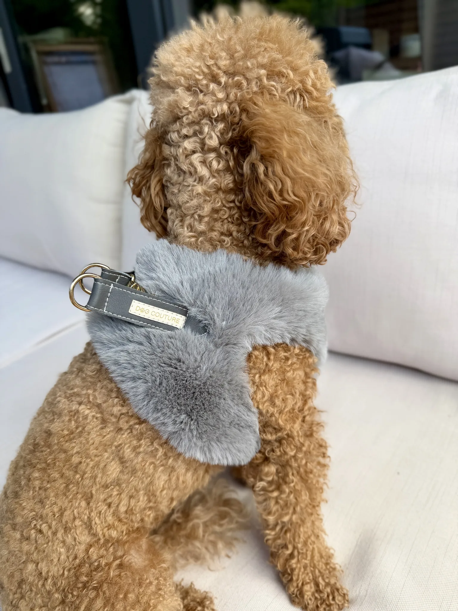 Szelki futerkowe — Grey